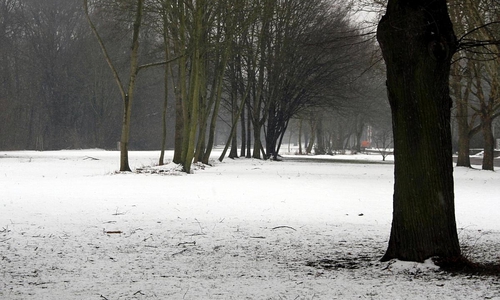 Winterlandschaft (Archiv)