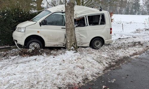 VW-Bus am Baum (Archiv)
