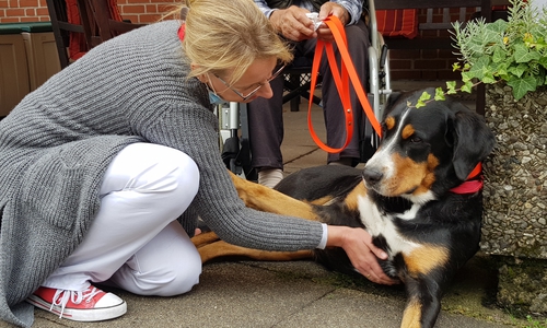 Ehrenamtliche der Wolfsburger Besuchshundestaffel sollen kranken und einsamen Menschen ein Lächeln ins Gesicht zaubern.