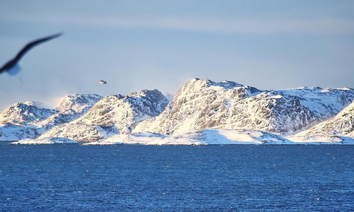 Grönland am 20.01.2026