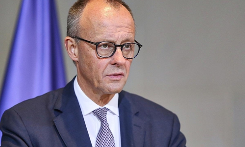 Friedrich Merz (Archiv)