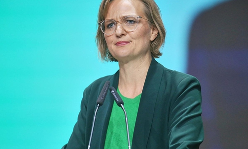 Franziska Brantner (Archiv)