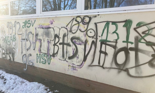 Reichlich Schmierereien zieren die Außenwände der Grundschule Adenstedt jetzt.