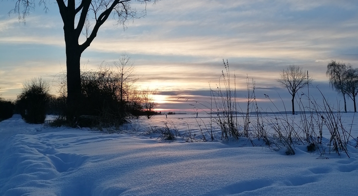 Frühling in Sicht? Was Bauernregeln über das Wetter verraten