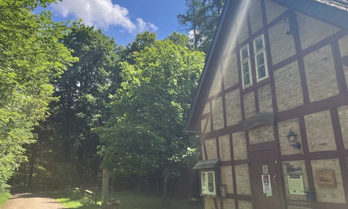 Grünes Klassenzimmer, Ferienprogramm.