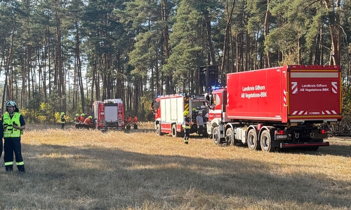 Rund 4.000 Quadratmeter Wald waren betroffen.