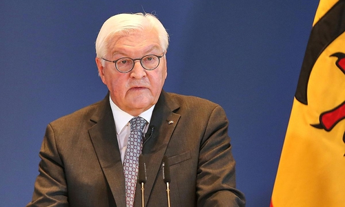Frank-Walter Steinmeier (Archiv)