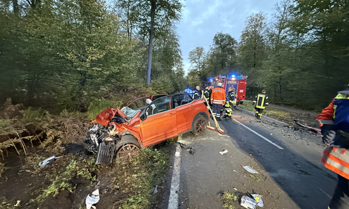 Beide Autos wurden massiv beschädigt.