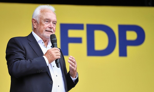Wolfgang Kubicki (Archiv)