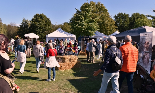 Der Herbstmarkt lockt am 3. Oktober mit Kunsthandwerk und buntem Programm ins Freibad Raffteich. 