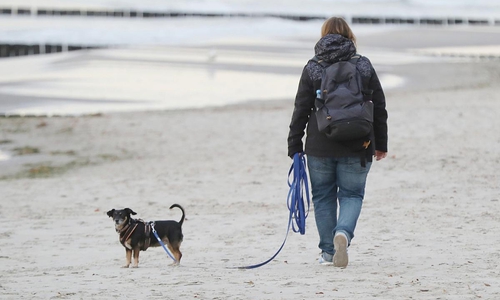 Strand (Archiv)
