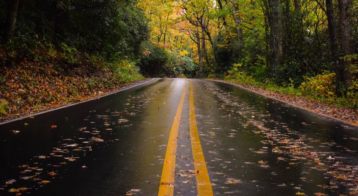 Herbst auf den Straßen: Wann gilt das Tempolimit „bei Nässe“?