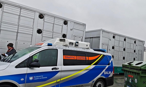 Polizei überprüft Tiertransporte auf der Autobahn  (Archiv)