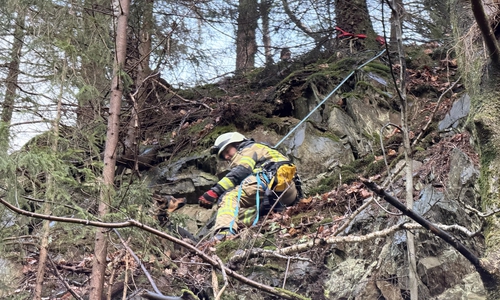 Der verängstigte Hund konnte sich nicht selbst aus seiner misslichen Lage befreien.