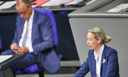 Friedrich Merz und Alice Weidel am 29.01.2026