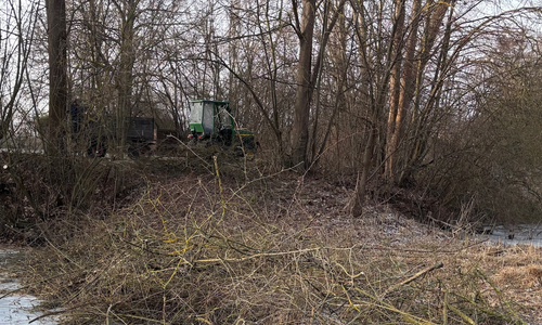 Rund um den See wurden Arbeiten durchgeführt.