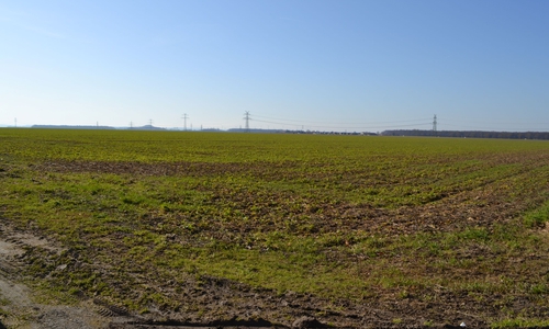 Die Gemeinde Vechelde lädt alle interessierten Bürgerinnen und Bürger zur öffentlichen Vorstellung des aktuellen Planungsentwurfes für das Gebiet „Vechelde-West“ ein.