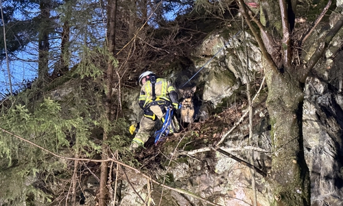 Die Rettung erwies sich als technisch anspruchsvoll.