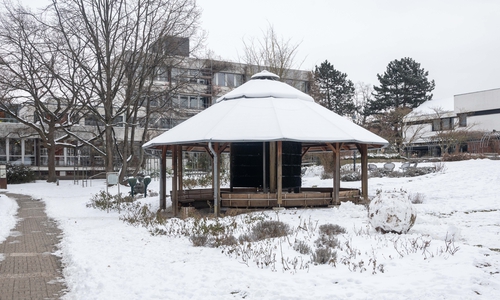 Hier stand der Mammutbaum bis zu seiner Fällung.
