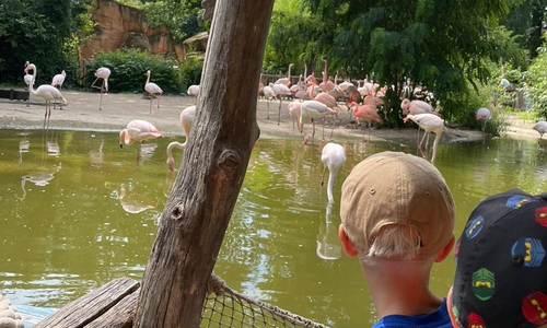 In Wolfenbüttel gibt es viele Osterferienangebote für Kinder und Jugendliche.