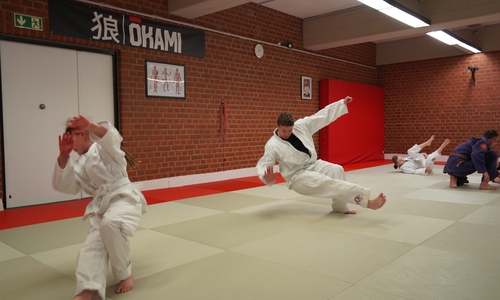 Einmal in der Woche trainieren die Schülerinnen und Schüler der Schule am Harly in der Ju Jutsu-AG das vielseitige und flexible Selbstverteidigungssystem.