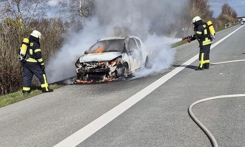 Die Feuerwehr bei den Löscharbeiten (Archiv)