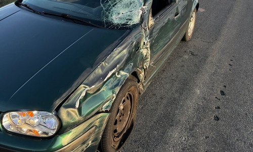 Auch am Auto entstand ein massiver Schaden.