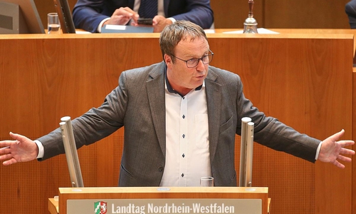 Oliver Krischer (Archiv)