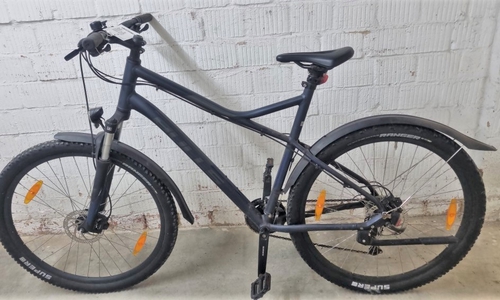 Um dieses Bulls Mountainbike geht es.