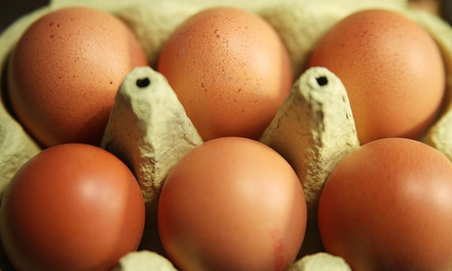 Eier (Archiv)