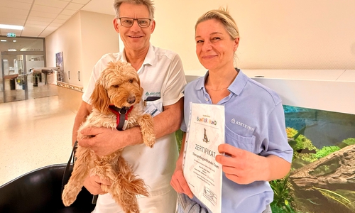  Gemeinsamer Grund zur Freude: Dr.med. Ralph Thinius, Chefarzt der NFR und der Klinik für Neurologie in der Asklepios Klinik Schildautal Seesen, Anja Pape Nieto, Physiotherapeutin, Lotte und Zeugnis.