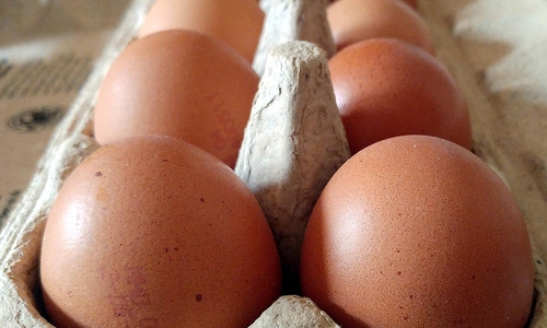 Eier (Archiv)