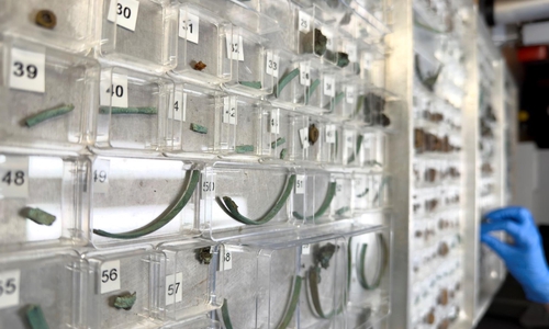 Blick in die Restaurierungswerkstatt. Fundbearbeitung Depotfund Ahlum.