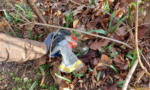 Die Förster laden zum gemeinsamen Müllsammeln im Wald ein.