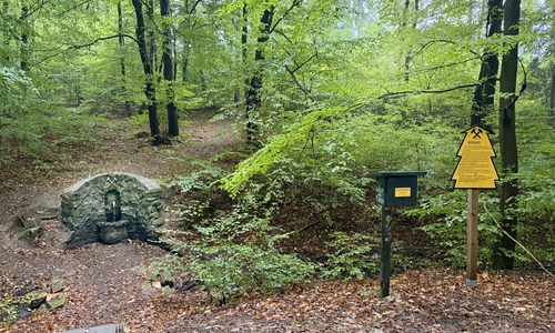 Die Stahlquelle bei Neudorf steht sinnbildlich für das Geopark-Jahresthema: Die Macht der Quelle. Im dortigen Stempelkasten der Harzer Wandernadel wird ab 22. April ein Sonderstempel der Wander-Challenge zu finden sein.