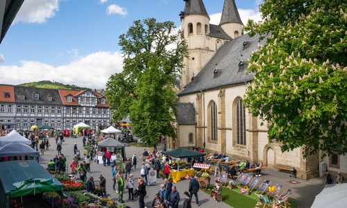 Bereits zum sechsten Mal findet der Goslarer Gartenmarkt statt.