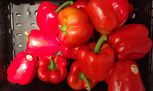 Paprika (Archiv)