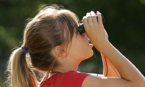 Die Frühlings-Fahrradtour durch das Naturschutzgebiet Riddagshausen ist kostenlos.