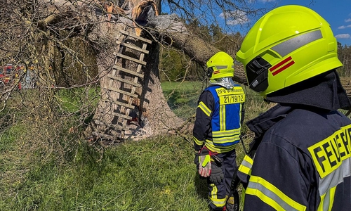 Zwei Einsätze binnen sechs Stunden in Wienhausen  (Archiv)
