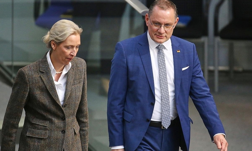 Alice Weidel und Tino Chrupalla (Archiv)