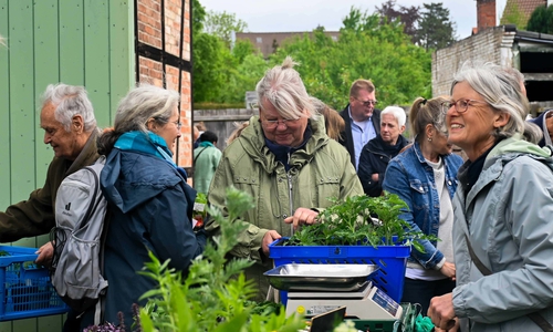Beate Pieper (r.) berät auch in diesem Jahr rund um die Tomatenpflanzen.