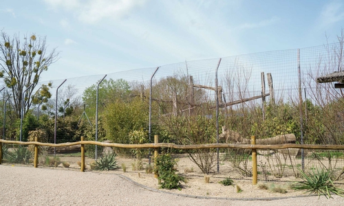 Die Gehege, wie hier die Geparden-Anlage, sind auf seltene und bedrohte Arten ausgelegt.