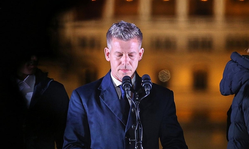 Péter Magyar (Archiv)