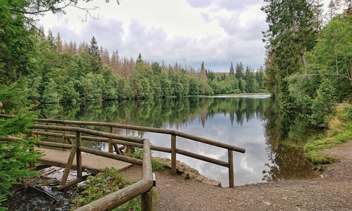 Der Silberteich bei Braunlage ist vom Naturmythenpfad des Nationalparks Harz umgeben. Hier befindet sich ein Stempelkasten der Harzer Wandernadel, in dem ab dem 22. April auch ein Sonderstempel des Geoparks HBLO auf Teilnehmende der Wander-Challenge 2026 wartet.