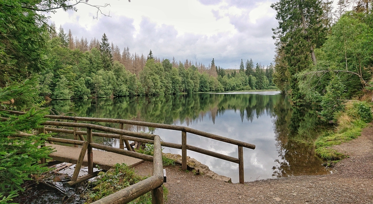 Diese Wander-Challenge führt auf besondere Entdeckungstour durch den Harz