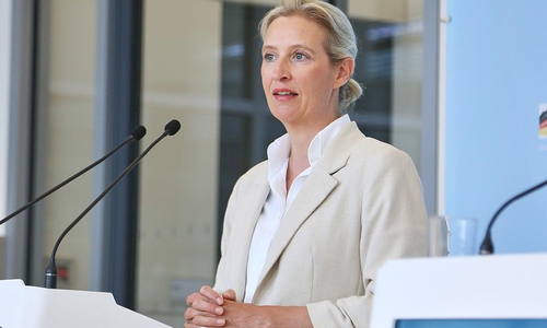 Alice Weidel (Archiv)