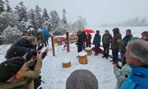 Der Wintereinbruch im Mai im Oberharz gab dem Spaziergang zu einer der neuen Wildnis-Entdeckerstationen am Torfhausmoor eine besondere Kulisse.