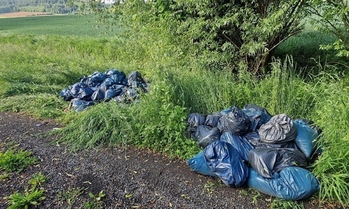 Ablageort Müllentsorgung (Archiv)