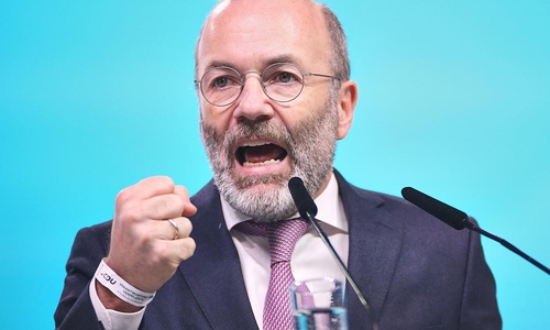 Manfred Weber (Archiv)