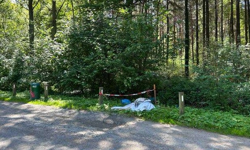 Hier wurden die Kadaver gefunden.